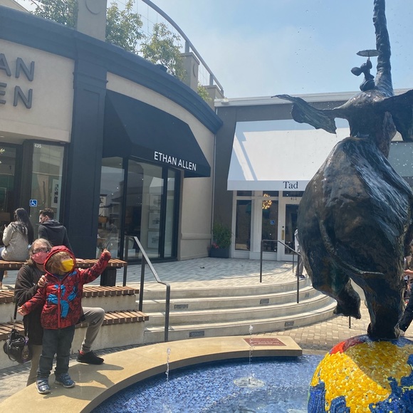 Meet your Posher, Tierney - Picture 11 of 15